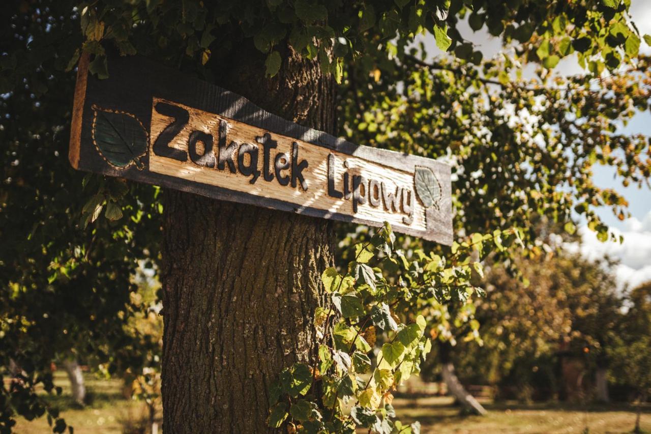 Zakatek Lipowy - Turystyka Stulichy